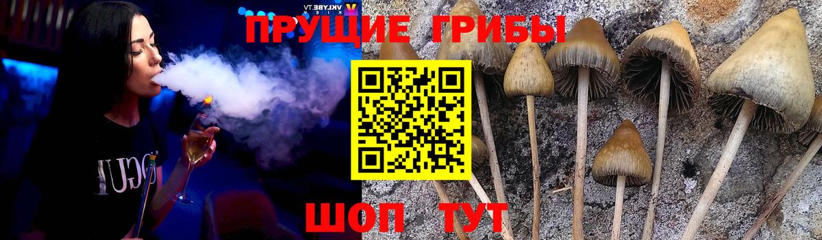 Галлюциногенные грибы GOLDEN TEACHER Алексеевка