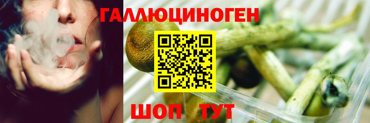 Псилоцибиновые грибы ЛСД  Вход с VPN  Алексеевка  Галлюциногенные грибы Psilocybe 